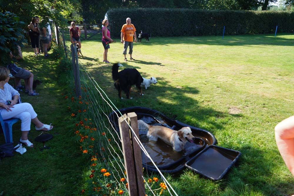 Impressionen Sommerfest 2019