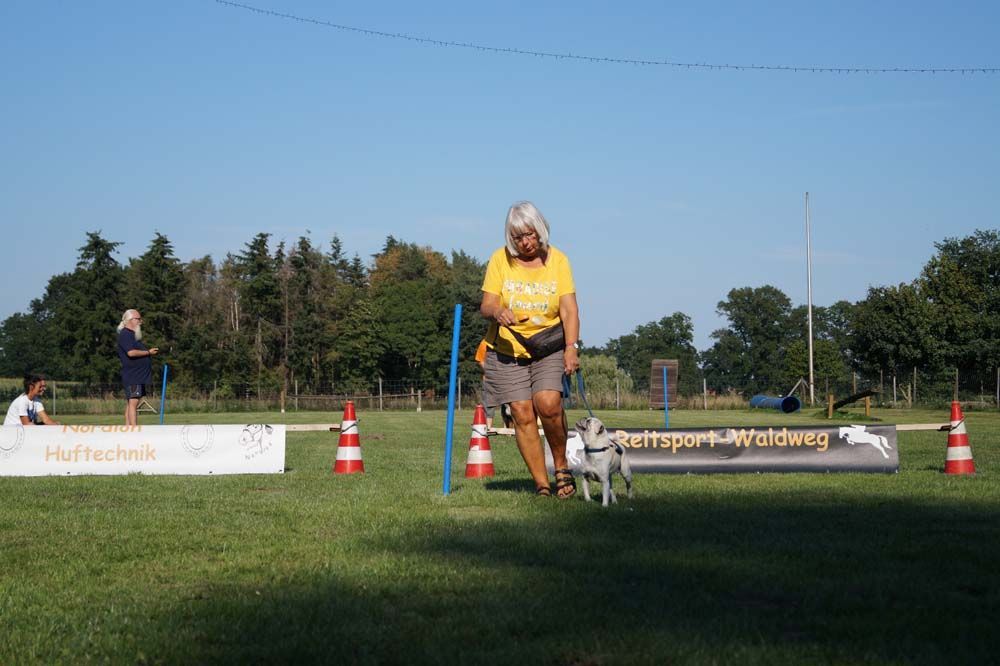 Impressionen Sommerfest 2019
