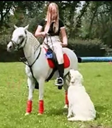 Kirsten S In Emtinghausen Hundeschule