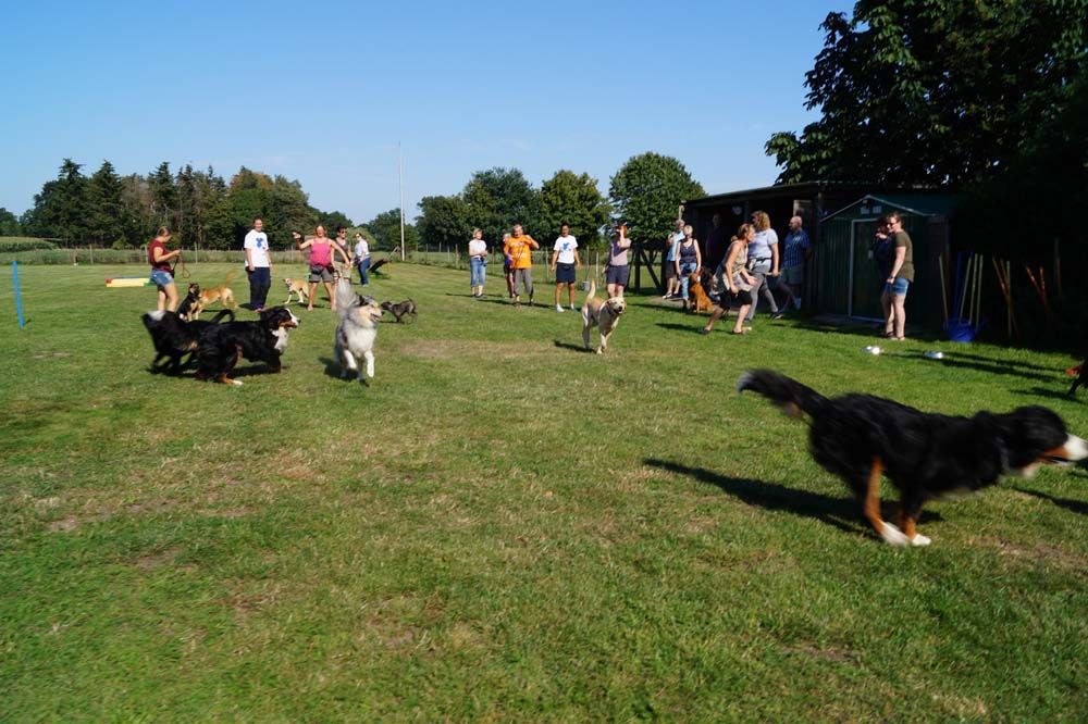 Impressionen Sommerfest 2019