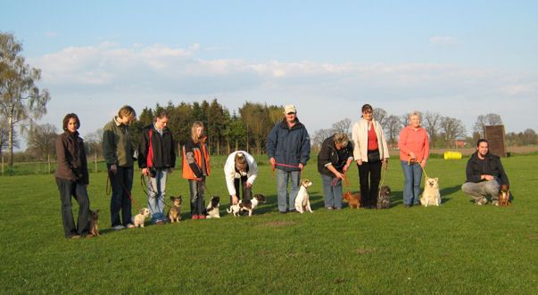 Welpenschule 