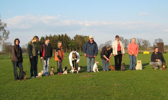 Welpenschule 