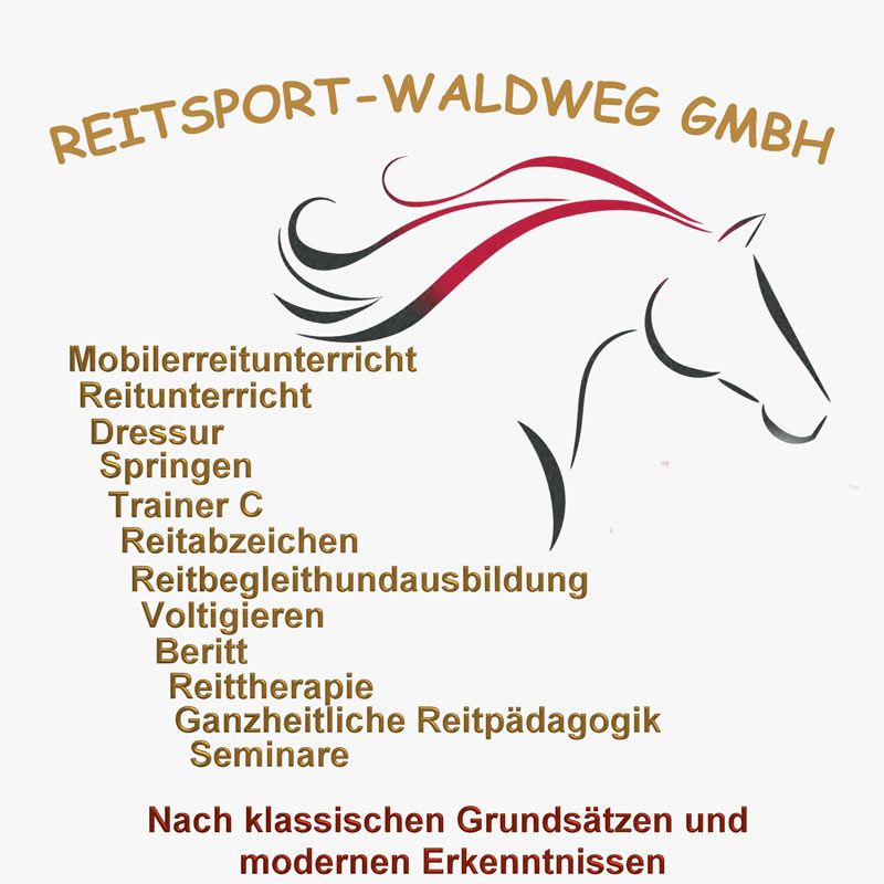 Reitunterricht in der Gruppe