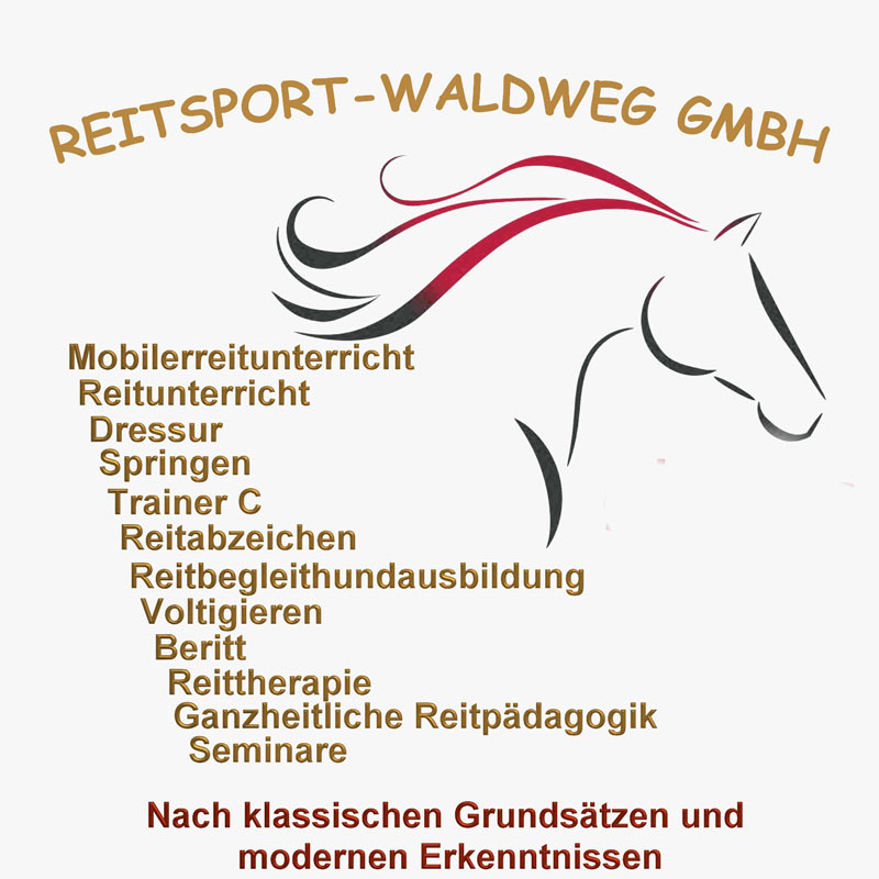 Reitunterricht in der Gruppe