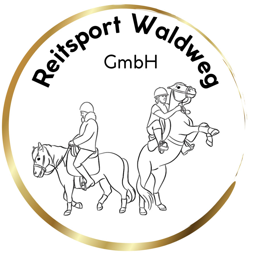 Reitunterricht in der Gruppe